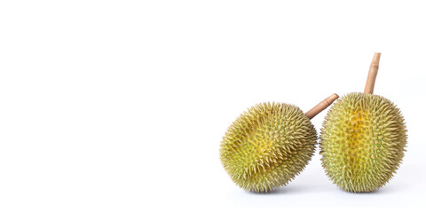 Durian as a king of fruit in Thailand.  It has strong odor and thorn-covered rind.
