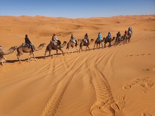 Fototapeta na wymiar a people and camels pic of Sahara desert