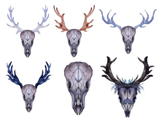 Watercolor set of Horn deer skull head isolated on white background Bohemian illustration style for your projects, greeting cards ,textile fabric ,print paper
