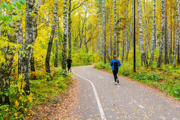 Walking and fitness trail in the autumn forest in Siberia. Jogging outdoors is good for your health
