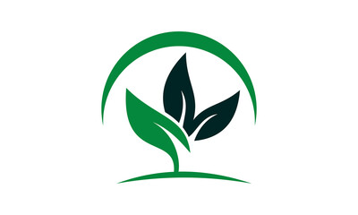 brand vector leaf icon