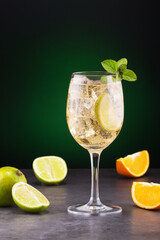 beautiful and delicious martini cocktail with soda, lime, mint and orange