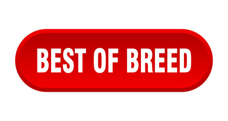 best of breed button. rounded sign on white background