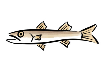 かます　カマス　梭子魚　魚　筆　手描き
