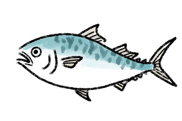 さば　サバ　鯖　魚　手描き
