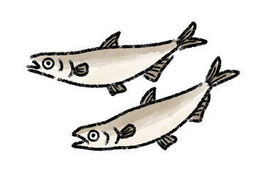 シシャモ　ししゃも　柳葉魚　魚　手描き
