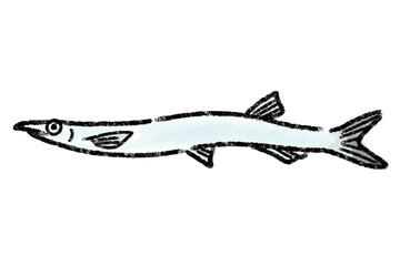 白魚　シラウオ　しらうお　魚　手描き

