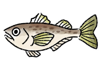 ハタハタ　はたはた　鰰　魚　手描き
