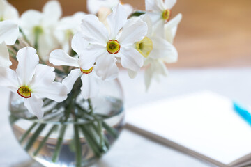 Bouquet of many white daffodils in glass vase on table