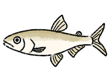 わかさぎ　公魚　手描き
