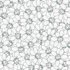 Realistic small gerbera flowers seamless pattern template. Daisy vector illustration in black and white for games, background, pattern, decor. Print for fabrics and other surfaces. Coloring paper