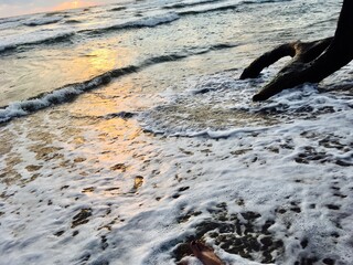 beach at sunset