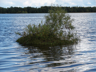 Small island on the river