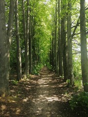 Красота дороги