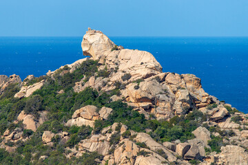 Der Löwe von Roccapoina, Korsika