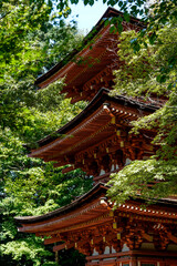 Joruriji Temple in Nara.
