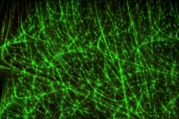 Abstract glowing green bursts. Abstract background for design and decoration