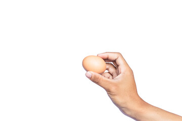 Hand holding an egg on white background
