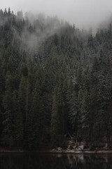 scenic fog in the mountains forest in the fall