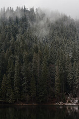 scenic fog in the mountains forest in the fall