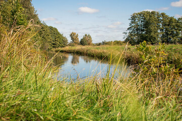 Trees in the park near the river. As well as big sosons and there is a river nearby.