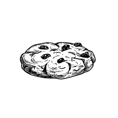 Chocolate chip cookie. Hand drawn sketch style. Fresh baked. American biscuit. Vector illustration isolated on white background.