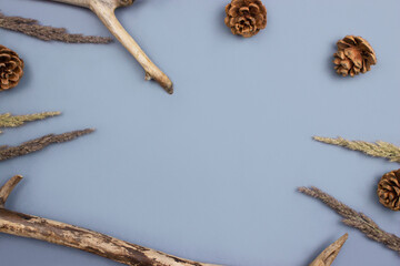 Obraz premium Wooden branches, fir cones, dry pampas grass creative flat lay on blue background top view with copy space. Natural, eco, organic forest background. Fall, autumn composition layout. Stock photo.