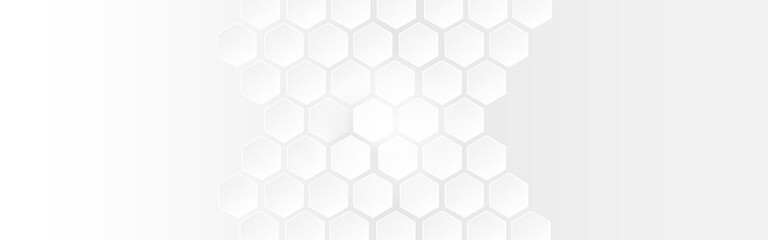 White abstract polygon banner background. Vector 3d hexagon paper texture.