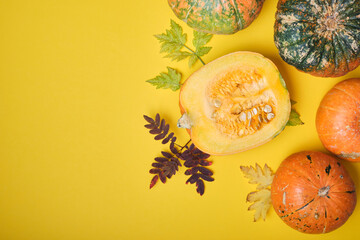 cut pumpkin and different pumpkins on a yellow background, top view, autumn leaves and pumpkins with growths on the peel
