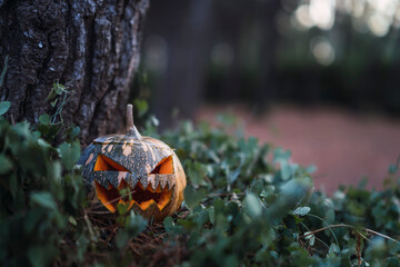 Calabaza con forma de cara siniestra iluminada por dentro de halloween
