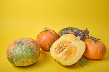 fresh pumpkin on yellow background, pumpkin cut in half and some unusual pumpkins on yellow autumn leaves