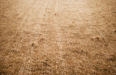 Erosion control blanket, soil net