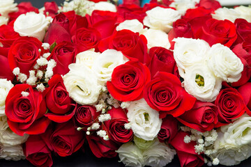 Bunch of red and white  beautiful  flowers