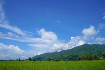 Fototapeta premium Green mountains, blue sky and beautiful background
