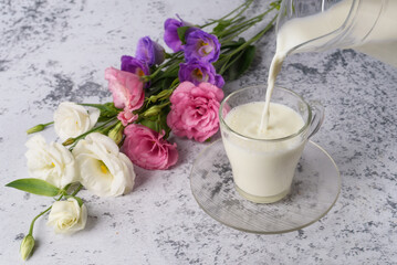 Obraz na płótnie Canvas Milk in a glass and a jug, on a background is a gray concrete background and flowers.