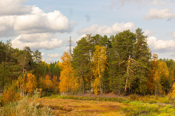 Landscape with colorful trees in autumn in the forest