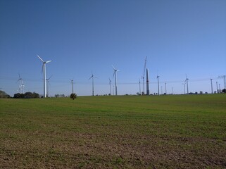 wind turbines farm