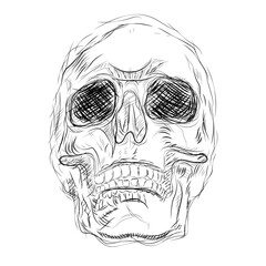 Skull white scetch. Vector isolated scetch illustration. Drawn AI skull black outlines.
