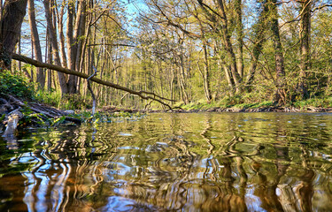 View over the waves in the river at the forest. Warnow Durchbruchstal in Mecklenburg-Vorpommern. Germany