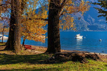 Bench among autumnal trees on the shore of Lake Maggiore.