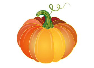 Kürbis in verschiedenen orangefarbenen Tönen