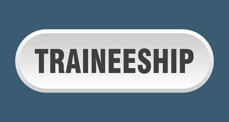 traineeship button. rounded sign on white background