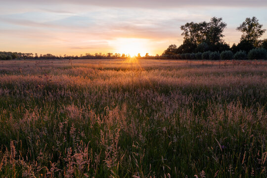 sunrise in the field of Gelderland, the Netherlands.