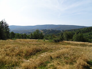 Naklejka premium landscape with sky