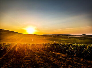 sunset over the field