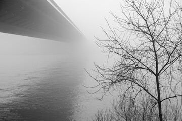 Bridge to nowhere - Brücke ins Nichts