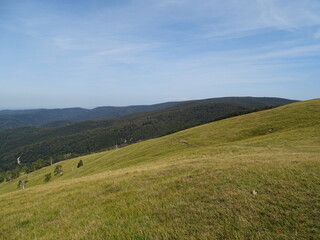 Naklejka premium landscape with sky