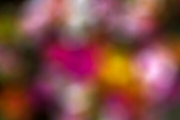 abstract colorful background