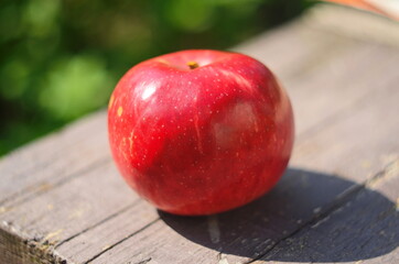 Ripe red apple on table close up