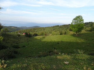 Obraz premium landscape with sky and clouds